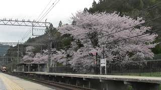 撮りチャン～近鉄22600系＋22000系阪伊特急大阪上本町行in長谷寺～