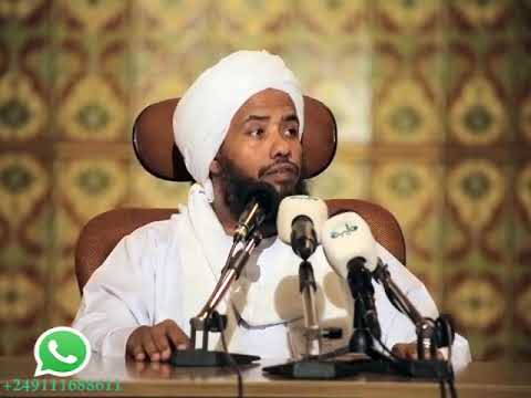 قالوا سبحانك لا علم لنا إلا ما علمتنا تيسير التفسير