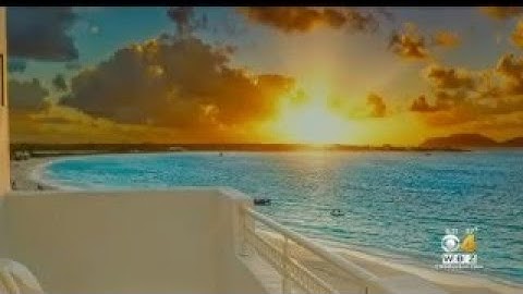 Travel Agents See Increase In Bookings