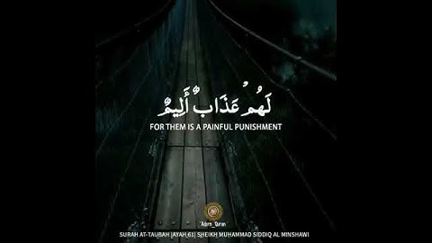 المنشاوي /قرآن كريم♥️ /مقاطع قصيرة💙/حالات واتساب💚/تلاوة عطرة💜