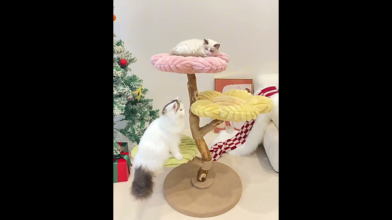 Clouds Deluxe Solid Wood Cat Tree