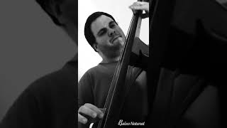 Double Bass Solo 6 Feat Domenico Botelho 