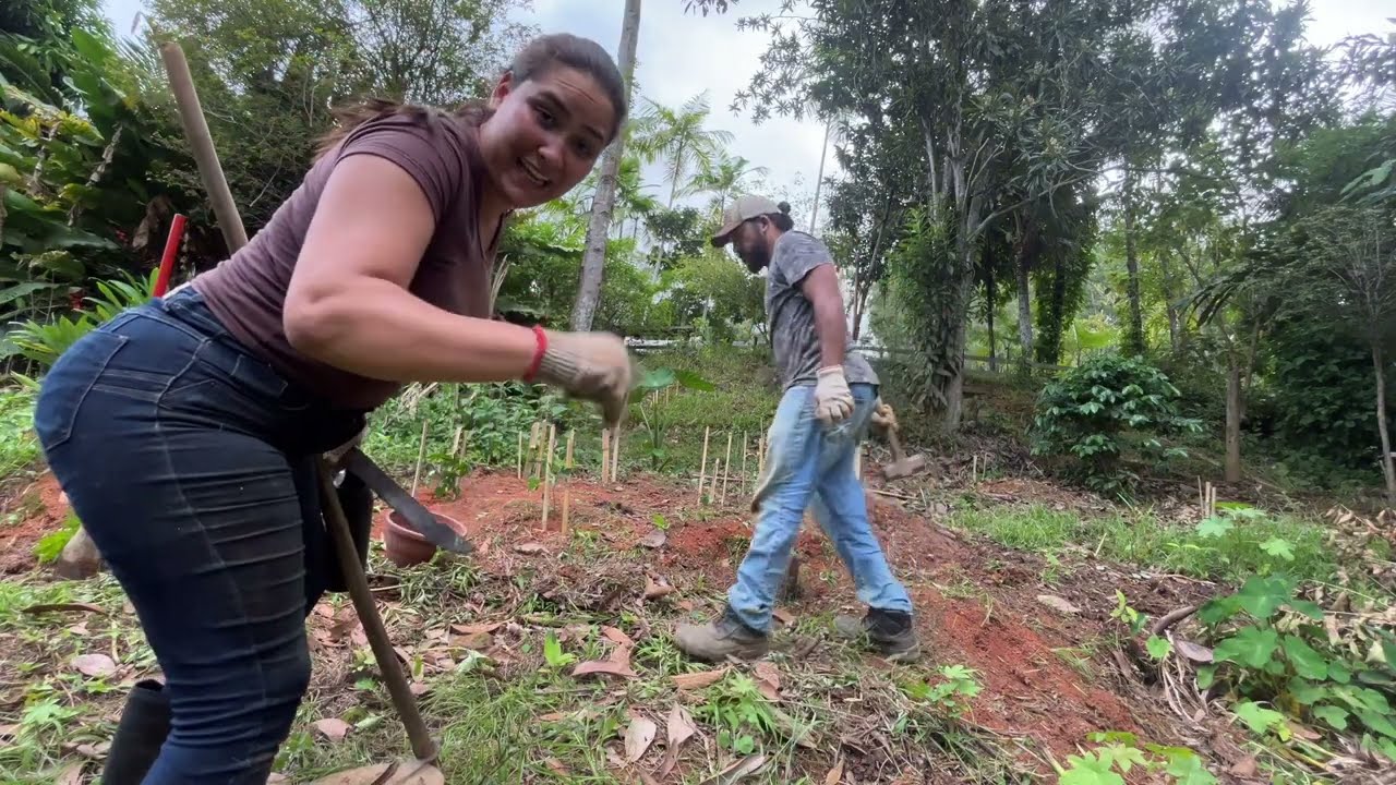 Plantamos Mamão e Fruta do Conde no Pomar - Sítio Puri