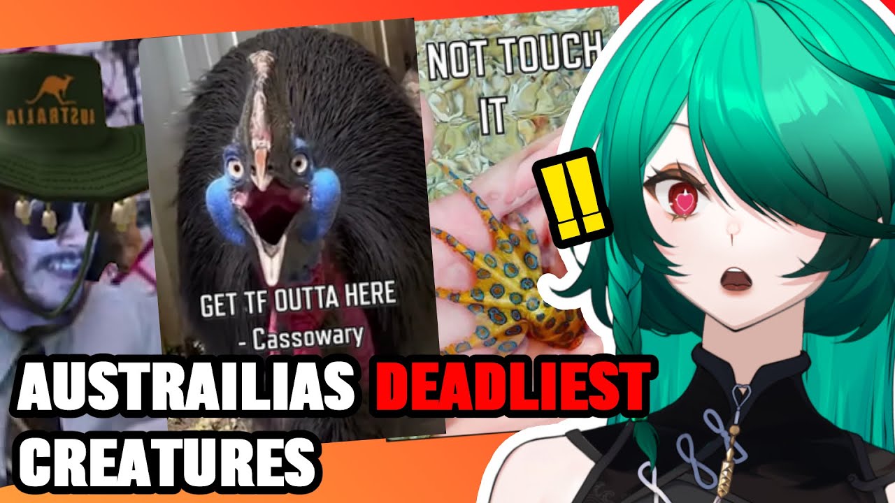 Australian animals are BUILT DIFFERENT! || More Parz Reacts
