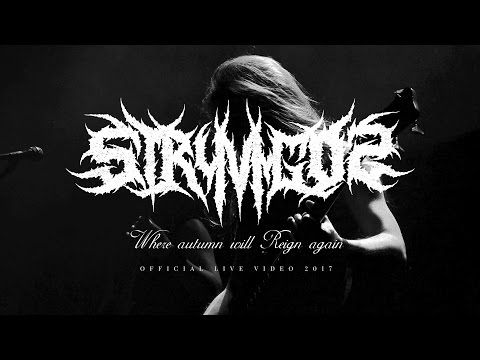 Stryvigor — Where