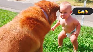 Cute baby👶 playing with dogs🐶 and cats 🐱| Best baby and Dogs Complitions 2022 | baby and pets