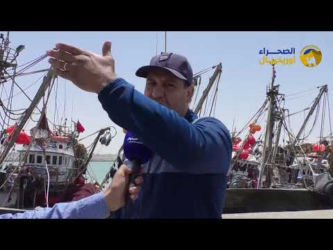 ميناء الطرفاية الركيزة الاقتصادية الأولى بالاقليم بين الركود و الصراع أسبابه و انعاكاساته 