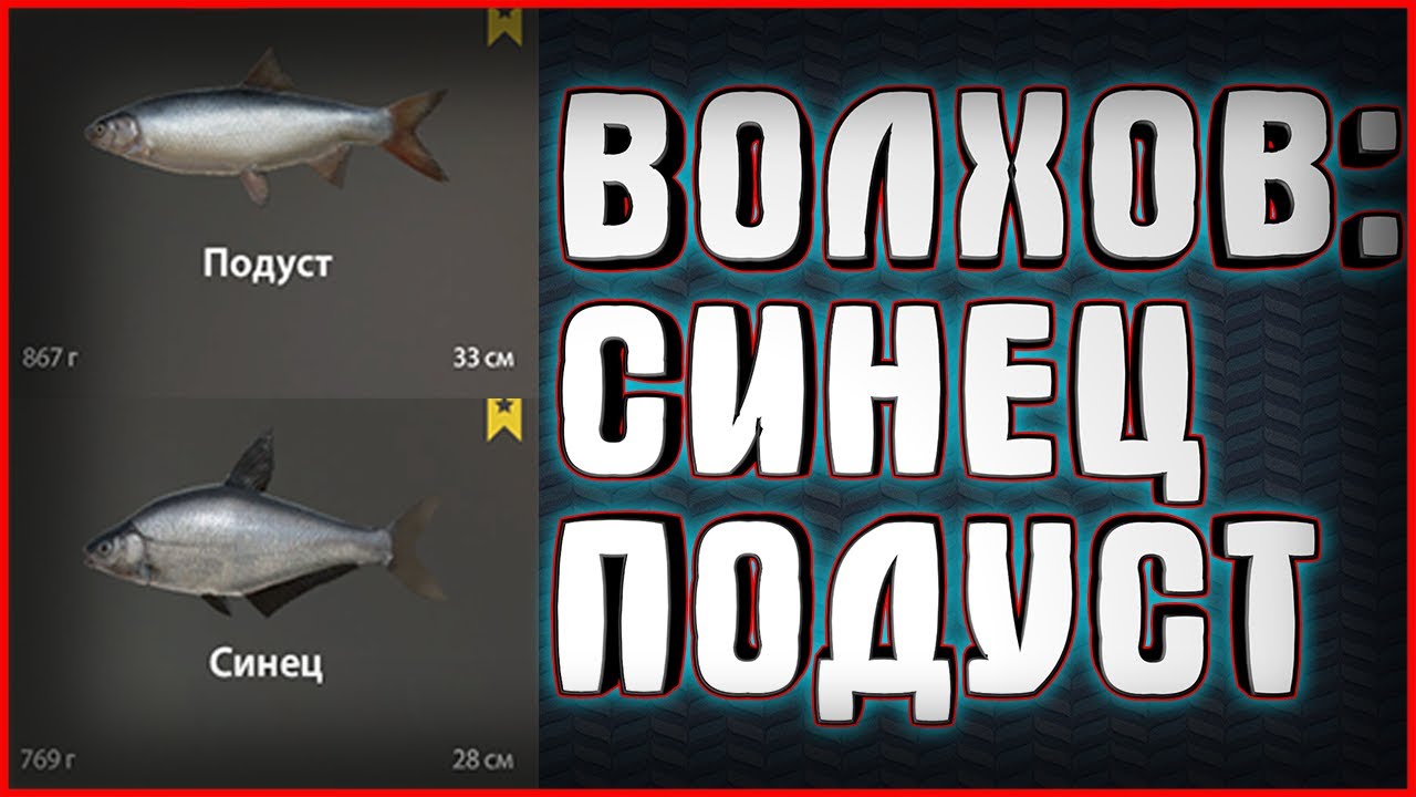 Волга синец рр3