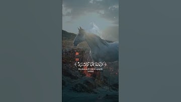 تلاوة مباركة بصوت عذب تهدأ لها القلوب وتطمئن النفوس، شارك الأجر بنشر الفيديو #قرآن #تلاوة #اكسبلور