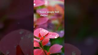 Rainy day quotes #rainyday #rain #statuswhatsapp
