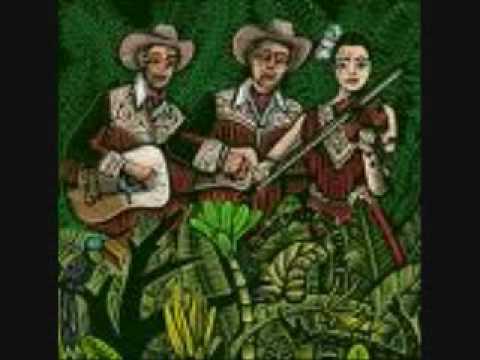 HUAPANGOS HUASTECOS