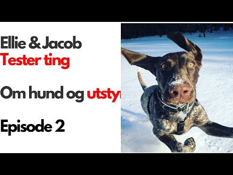 Ellie & Jacob tester ting Episode 2 - Non Stop Protector Vest