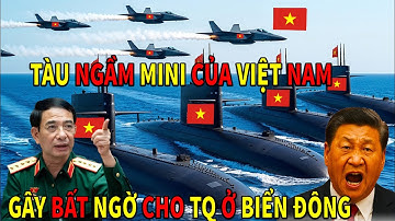 TQ NGUY TO-Tàu Ngầm Mini Việt Nam – Vũ Khí Bí Ẩn Sẵn Sàng Gây Bất Ngờ Cho TC BÌNH Trên Biển Đông