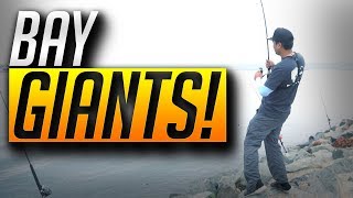 Fishing for BAY GIANTS!  EPIC HOOKUPS! (San Diego Bay)