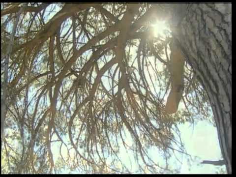 Simcha Series 04 Episode 23 