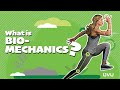 The Intersection of Biology and Engineering in Biomechanics