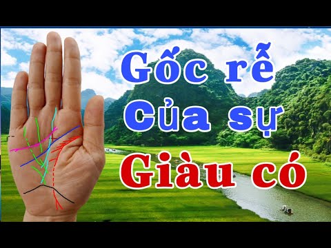 Video Gốc rễ của sự giàu có - youtube