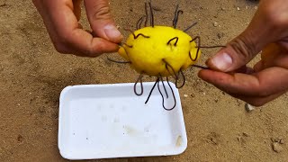 Making Iron Fertilizer With Only One Lemon
