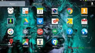 How to have a rainbow name in Wolf Online