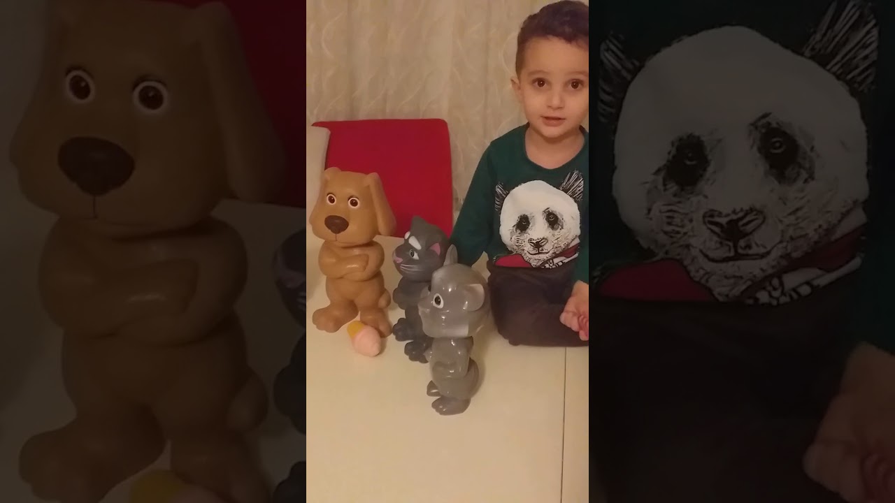 Kedi tom köpek tom bebek tom ve çınar YouTube