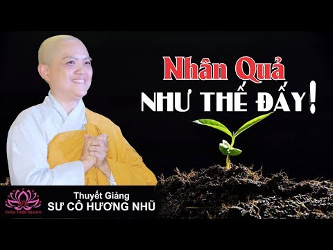 Video Nhân Quả Như Thế Đấy ! - Sư Cô Thích Nữ Hương Nhũ... - youtube