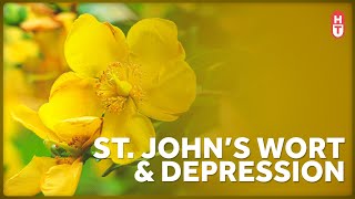 Depression and Saint John&#39;s Wort