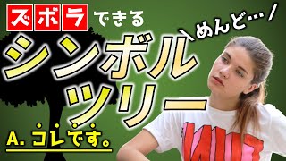 ズボラできる植木、こっそり教えます。手入れが少ないシンボルツリーTOP3【ズボラさん必見】