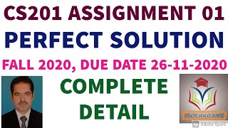 CS201 Assignment 1 Solution Fall 2020 by Tech Solo Soft