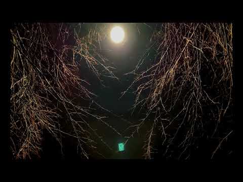 OCEANWAKE - Radiant Nightbreak (official lyric video)