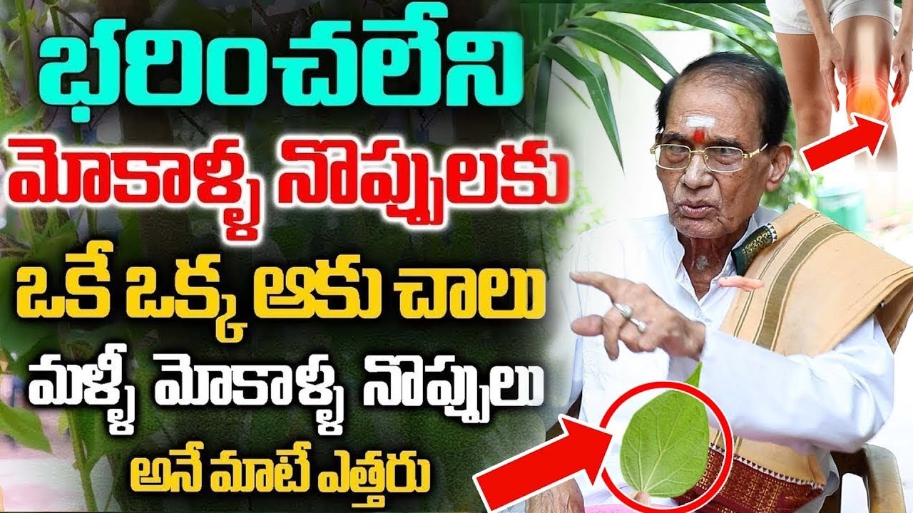 రోజు 4 ఆకులు చాలు మోకాళ్ళ నొప్పులు తగ్గి తొక్కుడు బిళ్ళ ఆడేస్తారు || Knee Pain | Dr BA Venkata Swamy