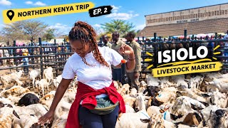 Inside Isiolo's Livestock Market. Our experience | Northern Kenya. Ep 2 @kobenataafrica