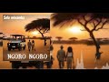 Sele Minamba Ngoro Ngoro Official Singeli Audio 
