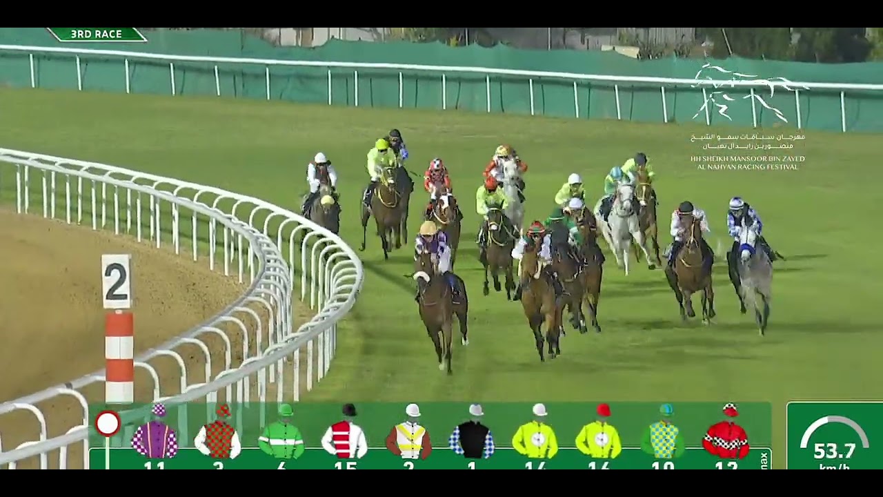 HH SHEIKHA FATIMA BINT MUBARAK CUP - ABU DHABI EQUESTRIAN CLUB | 03/12/2023