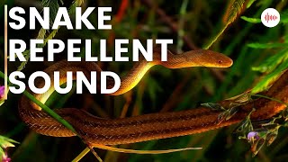 Snake Repellent Sound