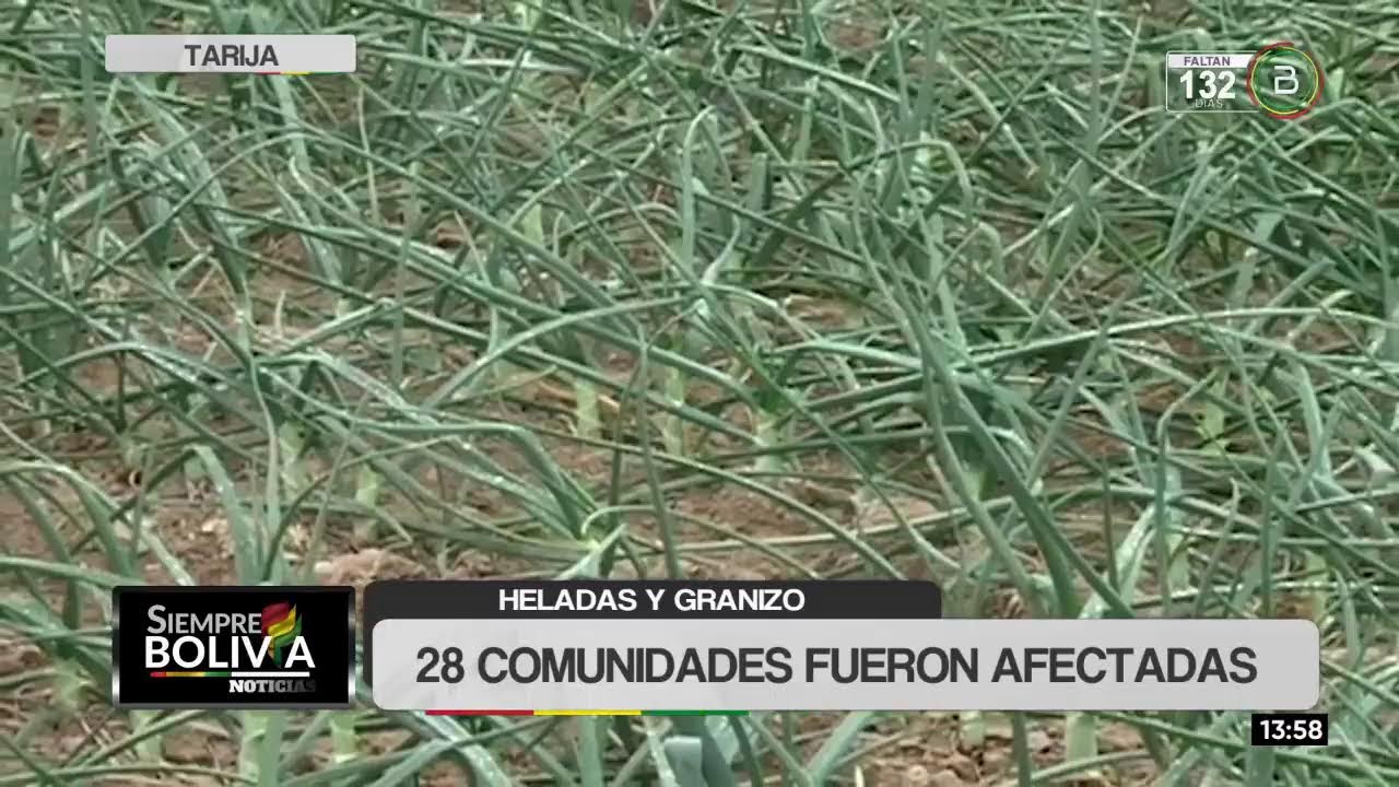 🔴 | NOTICIERO SIEMPRE BOLIVIA (18.01.2026)