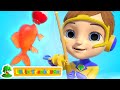 12345 Once I Caught A Fish Alive | Count 1 to 10 Numbers & Nursery Rhymes Songs by Little Treehouse