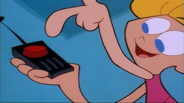 what does this button do?