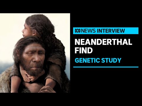 Neanderthal dna reveals family relationships in cave-dwelling clan | abc news
