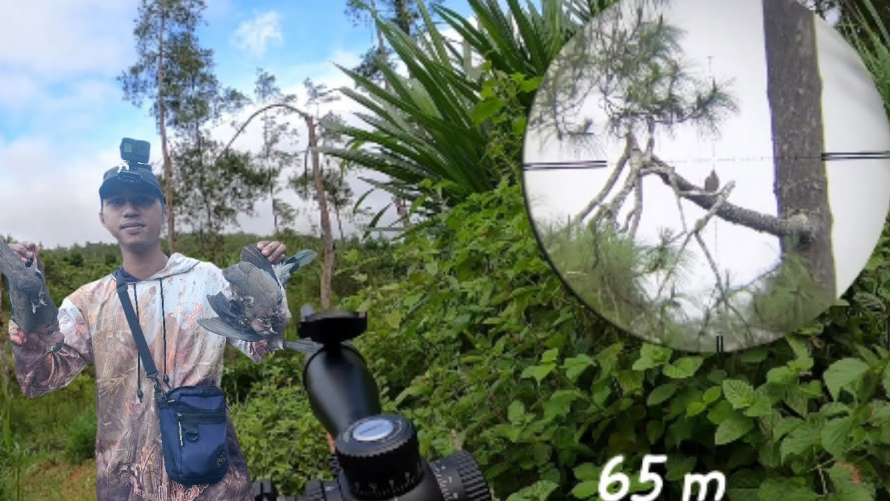 Hunting derkuku dispot baru gacor‼️//victory slug 12.4 gr