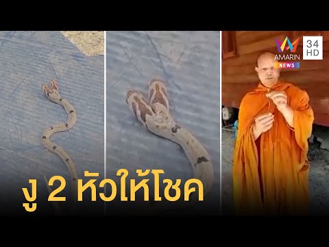 เจองูเลื้อยเข้าบ้านมี 2 หัว หลวงพ่อช่วยจับ ชาวบ้านเชื่อมาให้โชค
