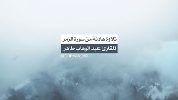 تلاوة هادئة تنسيك الدنيا وهمها من سورة الزمر للقارئ عبد الوهاب طاهر