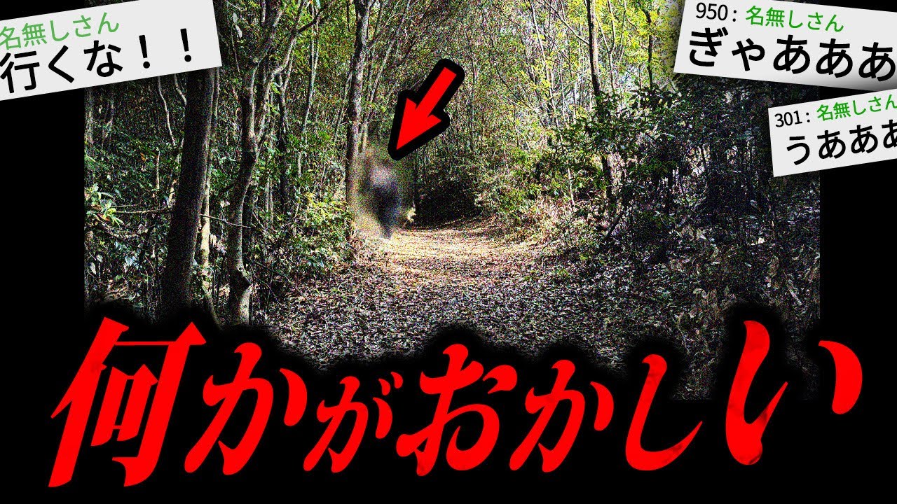 【警告】山で"コイツ"を見かけたらすぐに逃げてください