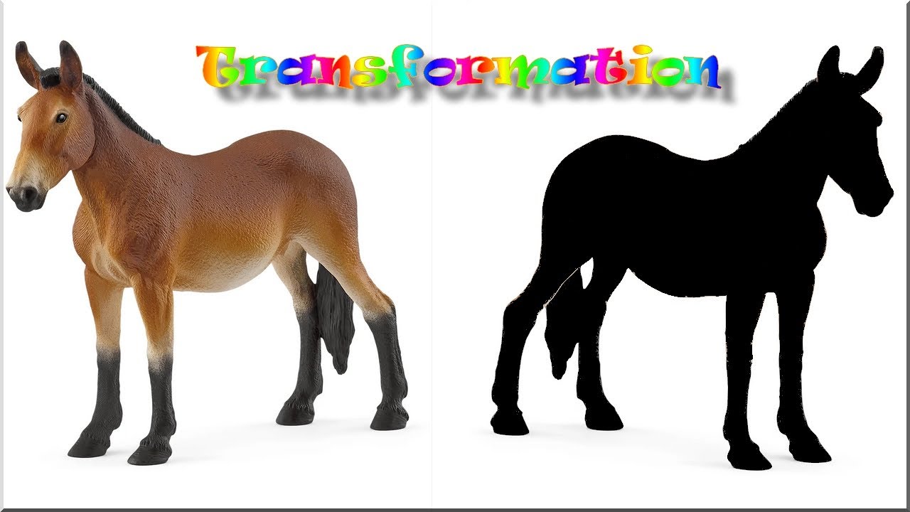 La mule Schleich se transforme en âne