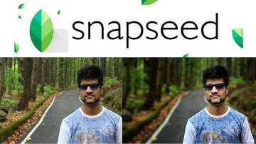 #Shorts Snapseed Potrait Background Blur | Bokeh Effect