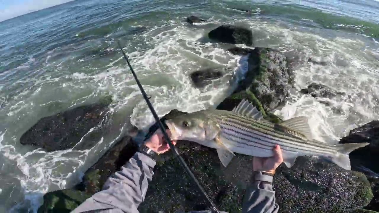 2024 October NJ Surf Fishing: Striper Mayhem