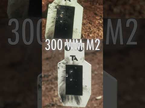 300 WinMag Armor Piercing vs AR550 Steel Target