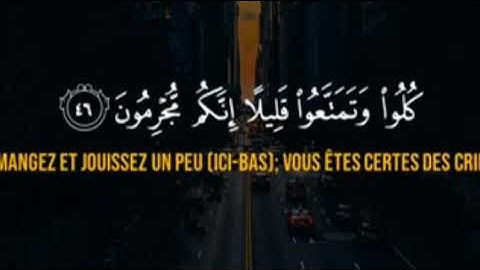 من أجمل الأصوات القارئ | بلال دربالي سورة المرسلات