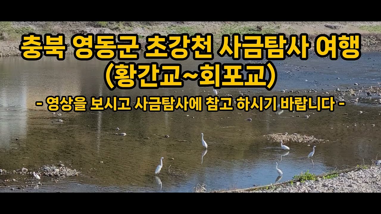 충북 영동군 초강천 사금탐사 여행(황간교~회포교)