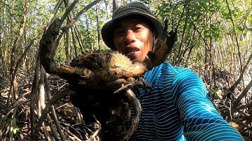 Quẹo Cần Giờ tập 27: Kết Hợp Lưới Cá Chẽm, Bắt Cua, Bẫy Cá Kiếm Tiền Để Mưu Sinh