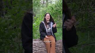 Wonkiest tree? | Black Willow